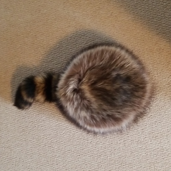Crown Cap Racoon Fur Hat - Picture 7 of 14